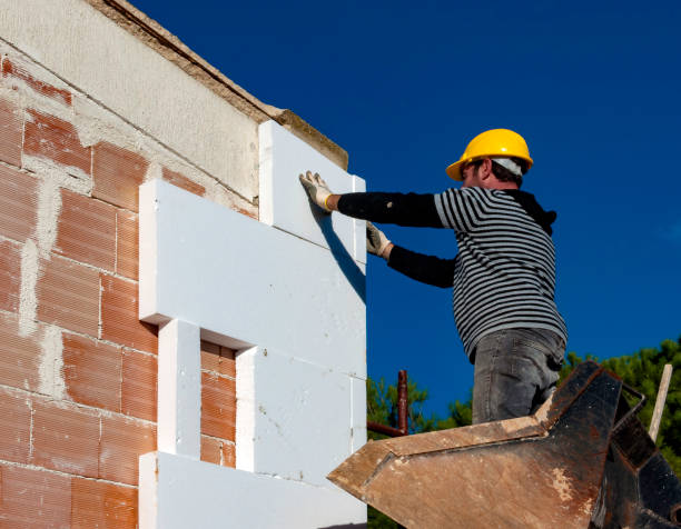 Best Blown-in Insulation in Willow Grove, TX