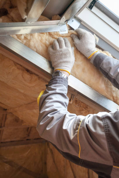 Best Eco-Friendly Insulation in Willow Grove, TX