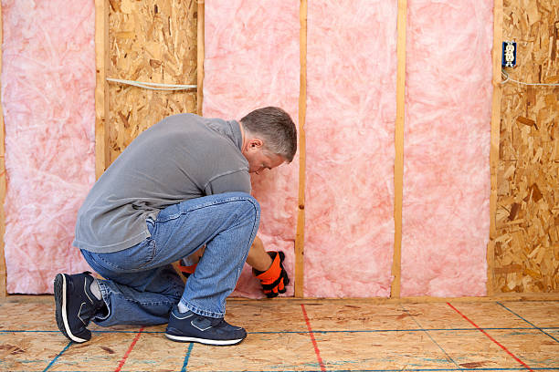 Best Geographic-Specific Insulation Services in Willow Grove, TX